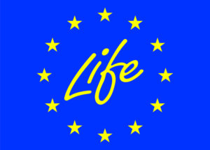 logo-life (1)