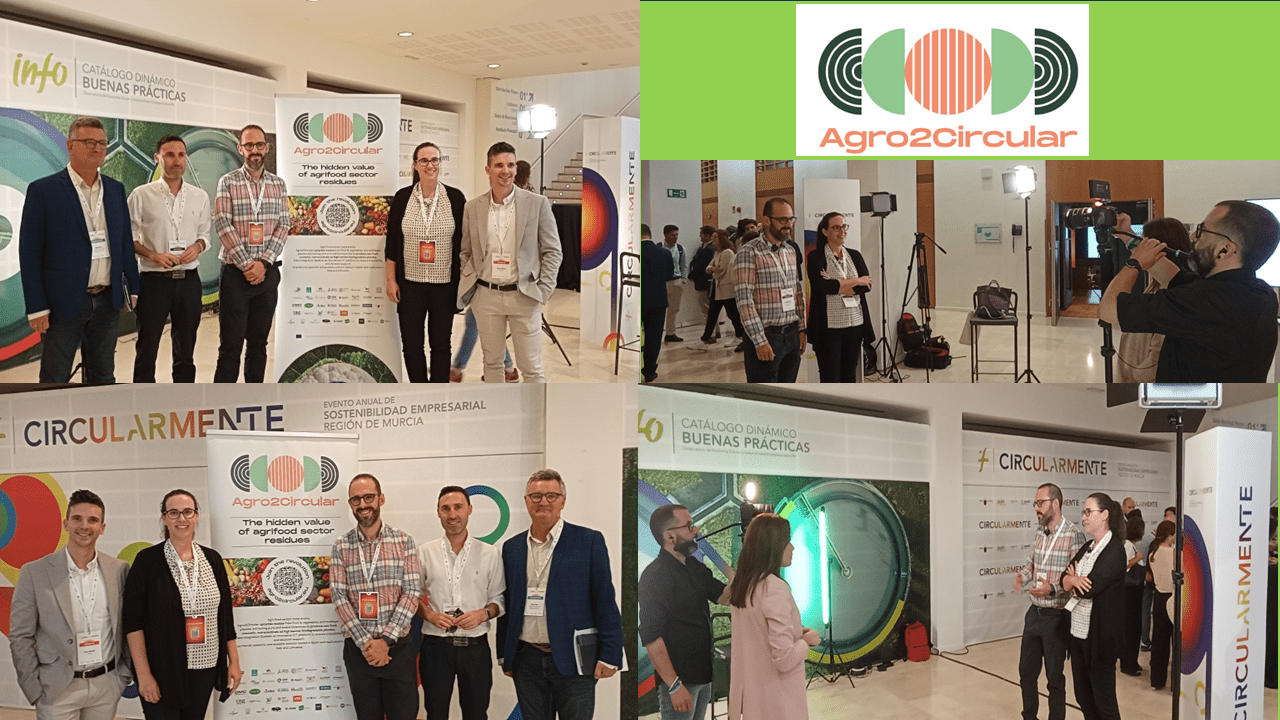 Lee más sobre el artículo Participamos en la I Edición de Sostenibilidad Empresarial de la Región de Murcia «CIRCULARMENTE»