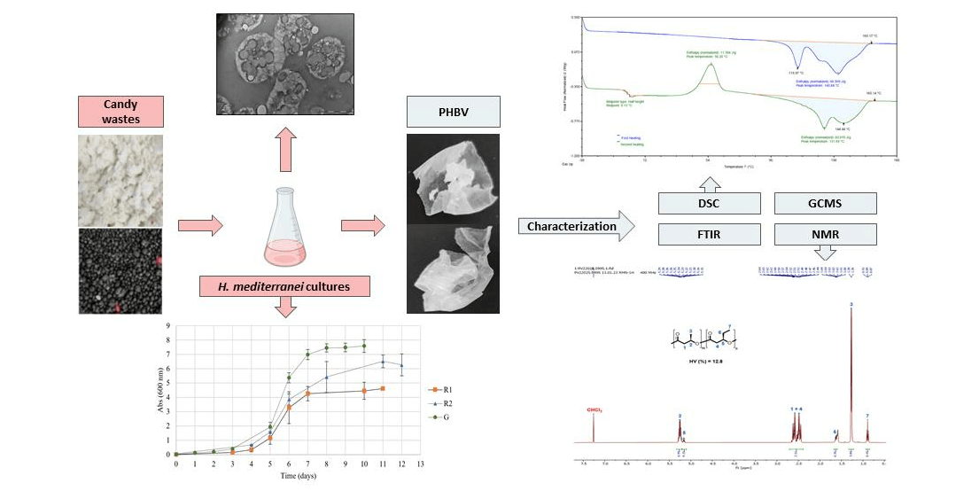 Lee más sobre el artículo Nuevo artículo científico: Avances en la producción de polihidroxialcanoato (PHA)
