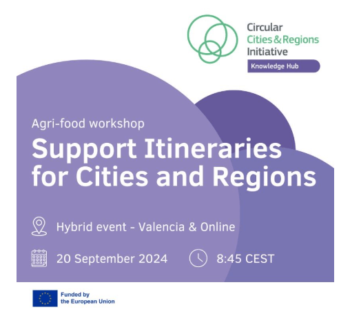 Lee más sobre el artículo «Itinerarios de apoyo para ciudades y regiones» CCRI