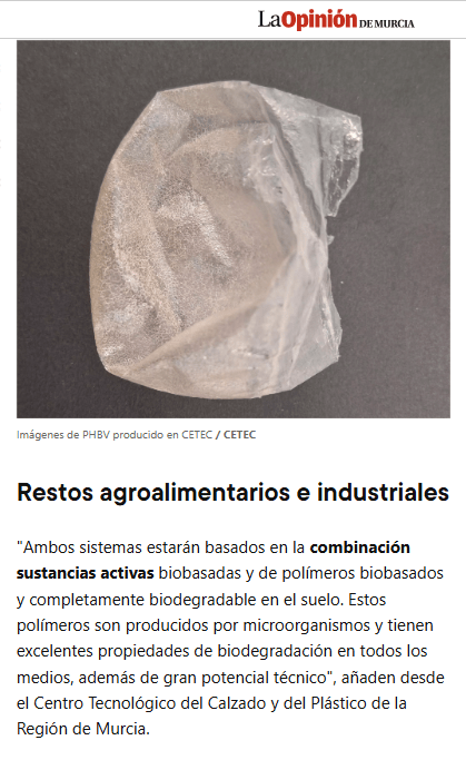 Lee más sobre el artículo Investigadores de la Región lideran un proyecto con restos de chuches y fruta contra el plástico agrícola