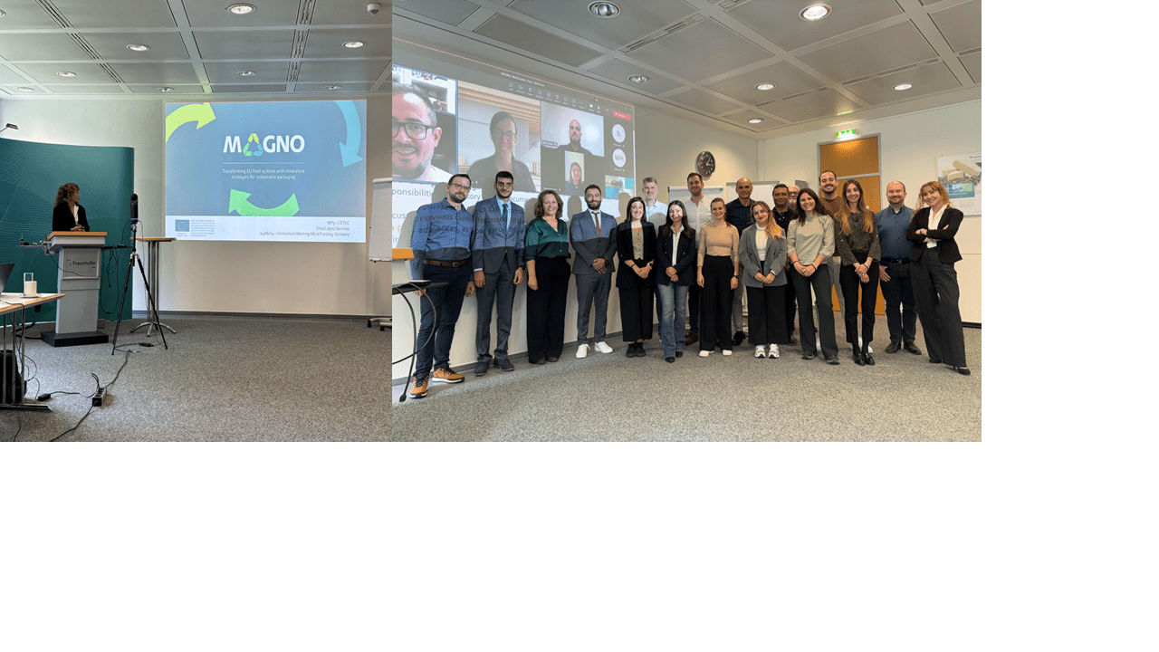 Lee más sobre el artículo Asisitimos a la Reunión del Consorcio de Magno Project