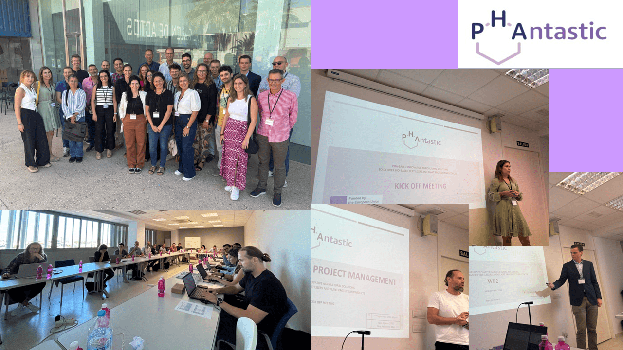 Lee más sobre el artículo El Proyecto PHAntastic Inicia su Andadura con el Kick-off Meeting en Murcia